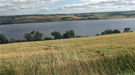The Cromarty Firth, seen from Cycle Route 1 near Dingle, 31.0 miles into the ride